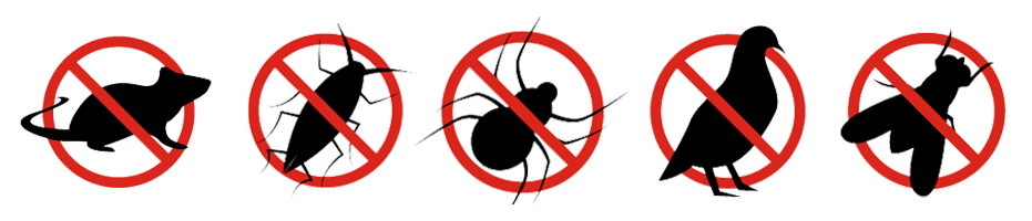 24X7 Pest Control in chennai|Pest Control Services In Chennai